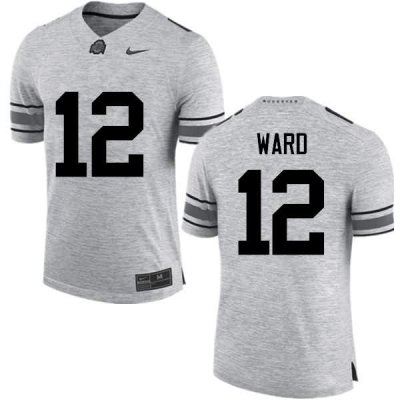 NCAA Ohio State Buckeyes Men's #12 Denzel Ward Gray Nike Football College Jersey YOH8145KD